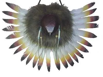 Eagle Wing 288