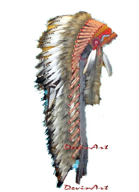 Warbonnet Swan 264